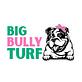 Big Bully Turf in Irving, TX Landscaping