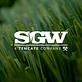 Synthetic Grass Warehouse in Thornton, CO Landscape Garden Services