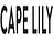 Cape Lily - Floral Designs in Tarrytown, NY