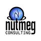 Nutmeg Consulting in Middletown, CT Computer Repair