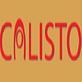 Calisto Corporation in Marina Lagoon - San Mateo, CA Computer Support & Help Services