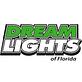 Dream Lights of Florida in Orange-Park, FL Landscape Contractors & Designers