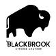 BlackBrook Case in Naples, FL Telephone Instruments & Accessories