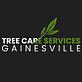 Tree Care Service in Gainesville, FL Lawn & Tree Service