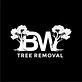 BW Tree Removal in Aiken, SC Tree & Shrub Transplanting & Removal
