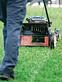 Terraluxe | Myrtle Beach Landscaping & Lawn Care in Myrtle Beach, SC Landscaping