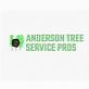 Anderson Tree Service Pros in Anderson, SC Lawn & Tree Service