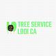 Lodi Tree Service Pros in Lodi, CA Lawn & Tree Service