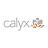 Calyx IT in Westlake, OH