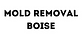 Mold Removal Boise in Boise, ID Inspection