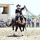 No Reins Performance Horses in Fredericksburg, OH Horse Riding Stables