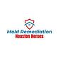 Mold Remediation Houston Heroes in Midtown - Houston, TX In Home Services
