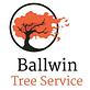 Ballwin Tree Service in Chesterfield, MO Tree & Shrub Transplanting & Removal