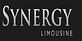 Synergy Limousine in Orange, CA Business Services