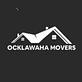 Ocklawaha Movers in Ocklawaha, FL Moving Companies