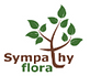 London sympathy flora in Raleigh, NC