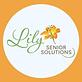 Lily Senior Solutions in Downtown - Akron, OH Home Health Care Service