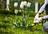 Businesses Web Designer Sunrise in Sunrise, FL