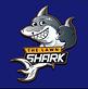 The Lawn Shark in Westminster, MD Lawn Maintenance Services