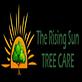 Plants Trees Flowers & Seeds in Murrieta, CA 92563