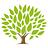 Ironwood Financial in Shaheen Estates - Tucson, AZ