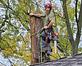 Lawn & Tree Service in Waterford, MI 48328