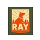 The New York Dog Trainer in Tribeca - New York, NY Dogs