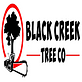 Black Creek Tree in Middleburg, FL Tree & Shrub Transplanting & Removal
