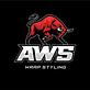 AWS Wrap in Hollywood, FL Auto Body Repair