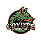 Coyote Sports Turf in Central City - Phoenix, AZ Construction Companies
