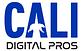 Cali Digital Pros in Los Angele, CA Graphic Design Services