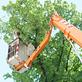 Leon's Tree Service in Pontiac, MI Tree & Shrub Transplanting & Removal