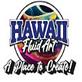 Hawaii Fluid Art in San Antonio, TX Professional Services