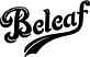 Beleaf Brooklyn in Fort Green - Brooklyn, NY Shopping & Shopping Services
