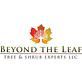 Beyond The Leaf Tree and Shrub Experts in Piscataway, NJ Tree & Shrub Transplanting & Removal