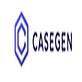 CaseGen.ai in Irvine,, CA Information Technology Services