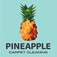 Pineapple Carpet Cleaning in American Fork, UT Carpet Rug & Upholstery Cleaners