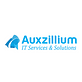 Auxzillium - Boston Managed IT Services Company in Central - Boston, MA Computers Electronics