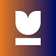 Bloom Legal Network in New Orleans, LA Divorce & Family Law Attorneys