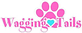 Wagging Tails Animal Daycare & Pet Spa | Cat & Dog Boarding CT in Wolcott, CT Pet Boarding & Grooming