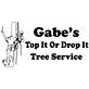 Gabe's Top It or Drop It Tree Service, LL‎C in Wild Rose, WI Tree & Shrub Transplanting & Removal