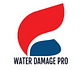 Water Damage pro in Vienna, VA Fire & Water Damage Restoration