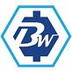 Bless Web Designs - Dallas in Dallas, TX Web-Site Design, Management & Maintenance Services