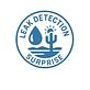 Leak Detection Surprise in Surprise, AZ Plumbing Contractors