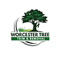 Worcester Tree Trim and Removal in Worcester, MA Tree & Shrub Transplanting & Removal