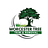 Worcester Tree Trim and Removal in Worcester, MA