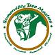 Somerville Tree Masters in Somerville, MA Tree & Shrub Transplanting & Removal