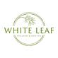 White Leaf Wellness & Medspa in Southeast - Mesa, AZ Day Spas