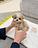 Premium Teacup Puppies in Ringgold, GA