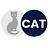 CAT Software Services in Princeton, NJ